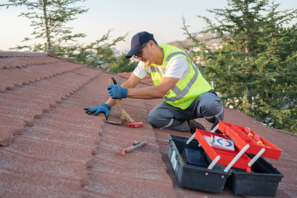 Professional Roofing Contractor in Apple Valley, OH